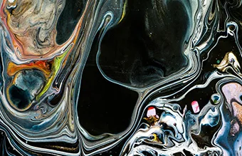 鲸鱼体育