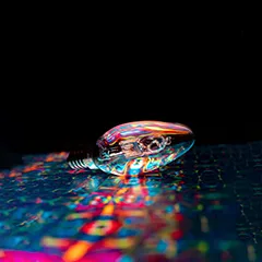 鲸鱼体育